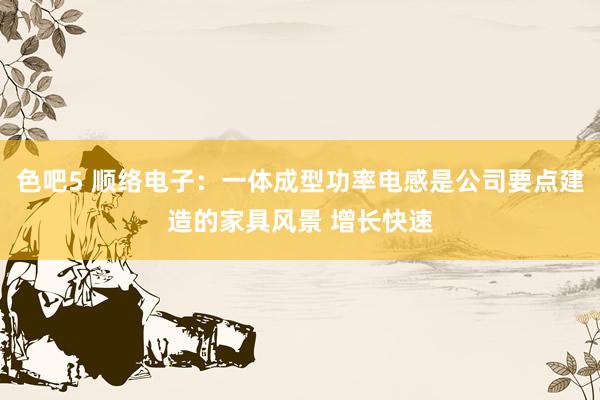 色吧5 顺络电子：一体成型功率电感是公司要点建造的家具风景 增长快速