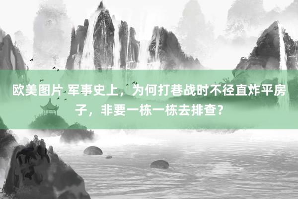 欧美图片 军事史上，为何打巷战时不径直炸平房子，非要一栋一栋去排查？