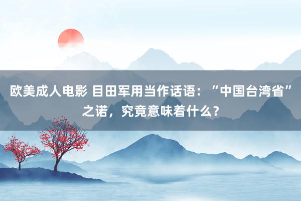 欧美成人电影 目田军用当作话语：“中国台湾省”之诺，究竟意味着什么？