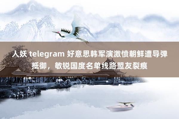 人妖 telegram 好意思韩军演激愤朝鲜遭导弹抵御，敏锐国度名单线路盟友裂痕
