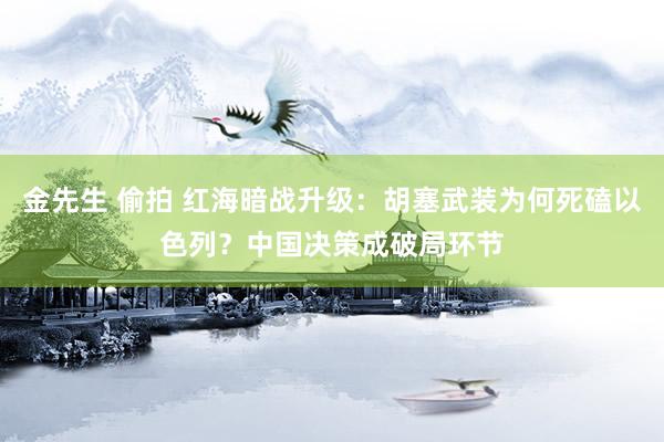 金先生 偷拍 红海暗战升级：胡塞武装为何死磕以色列？中国决策成破局环节
