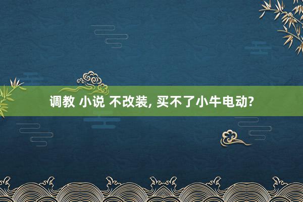 调教 小说 不改装, 买不了小牛电动?