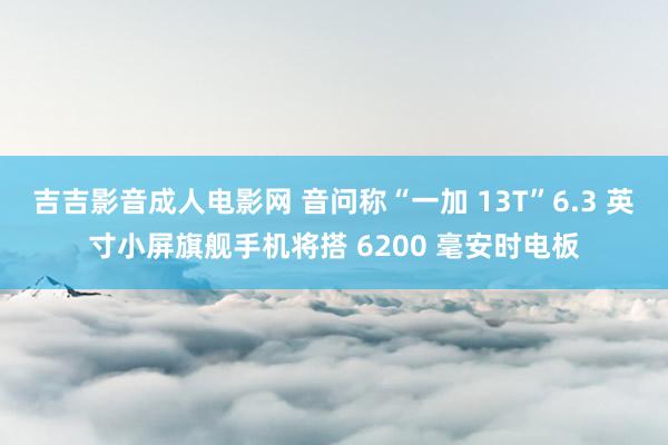 吉吉影音成人电影网 音问称“一加 13T”6.3 英寸小屏旗舰手机将搭 6200 毫安时电板