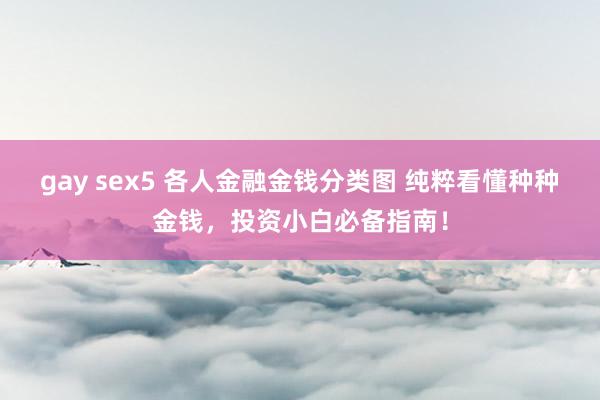 gay sex5 各人金融金钱分类图 纯粹看懂种种金钱，投资小白必备指南！