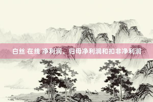 白丝 在线 净利润、归母净利润和扣非净利润