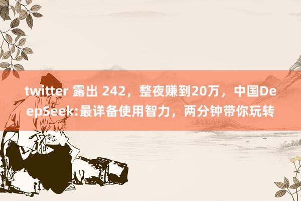 twitter 露出 242，整夜赚到20万，中国DeepSeek:最详备使用智力，两分钟带你玩转