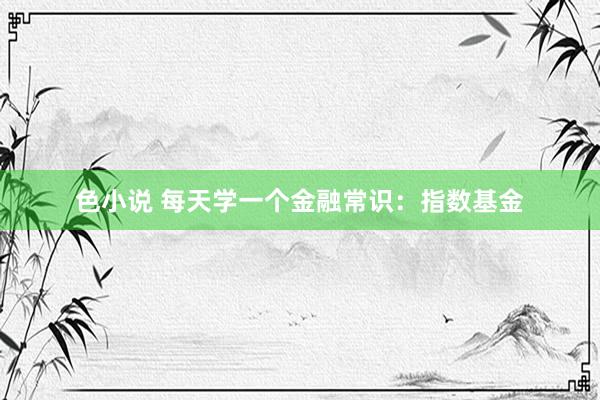 色小说 每天学一个金融常识：指数基金